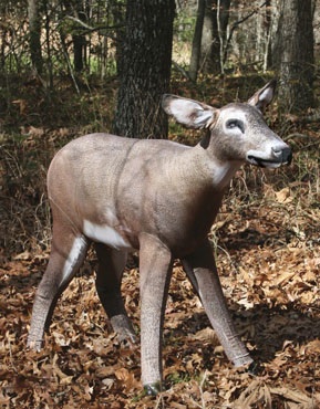 Tink's Miss November inflatable deer decoy