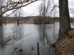 A typical upstate New York trout stream on Opening Day: high and  cold