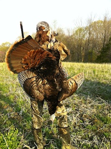 turkey tale, hunting, spring