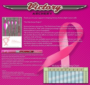 Pink Arrow Project flyer