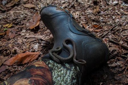 Muck Fieldblazer boot review means no more 'Frankenstein feet!'