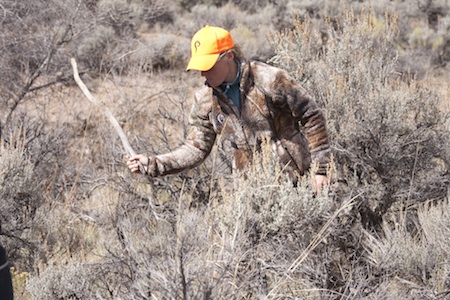 Olympic biathlete Lanny Barnes beats the bushes for bunnies for Karma. Photo courtesy of Jason Baird