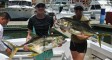 featured_LG_Mia_sportfishing_Mexico_JackCrevalle