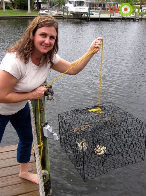 Retro WON: Crabbing in Cape Coral, Florida.