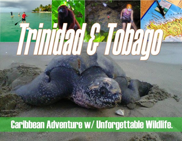 bow-trinidad-tobago