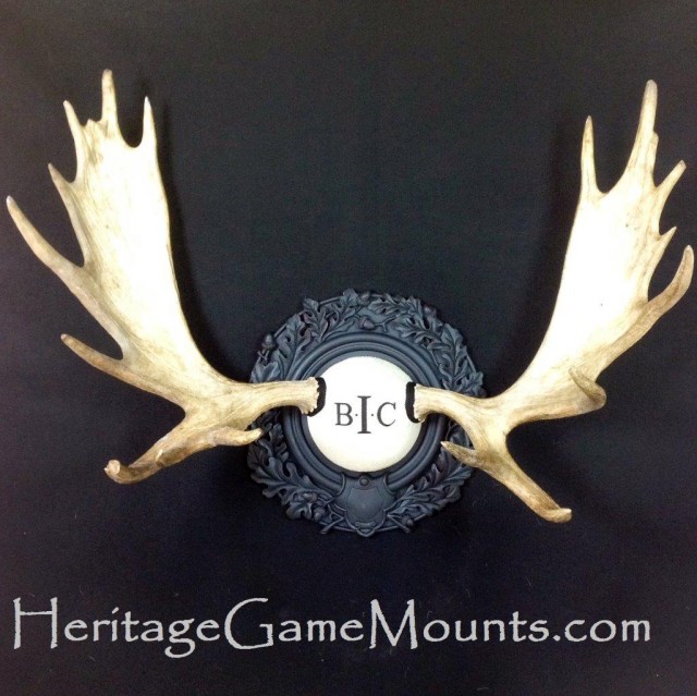 Heritage-Game-Mounts-Heritage-Stag-monogram