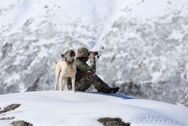 hunting_dog_cogsy_and_cc_2