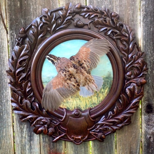Heritage-Game-Mounts-Victorian-Taxidermy-Quail