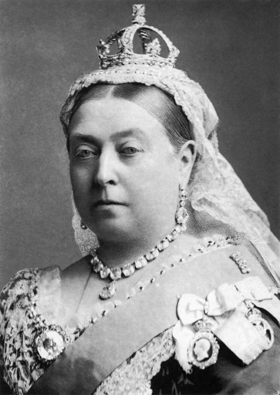 Heritage-Game-Mounts-Victorian-Taxidermy-Queen-Vicoria-featured