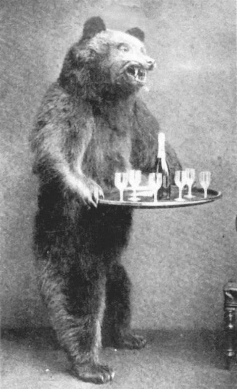 Heritage_Game_Mounts_Victorian-Taxidermy-Rowland-Ward-Furniture