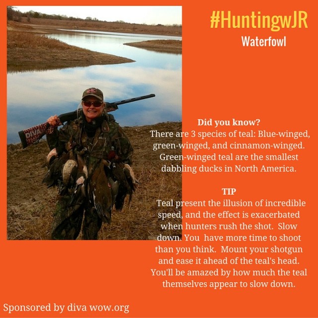 huntingwJRwaterfowl1