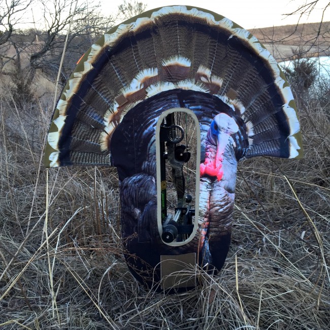 Decoy for hunting turkey