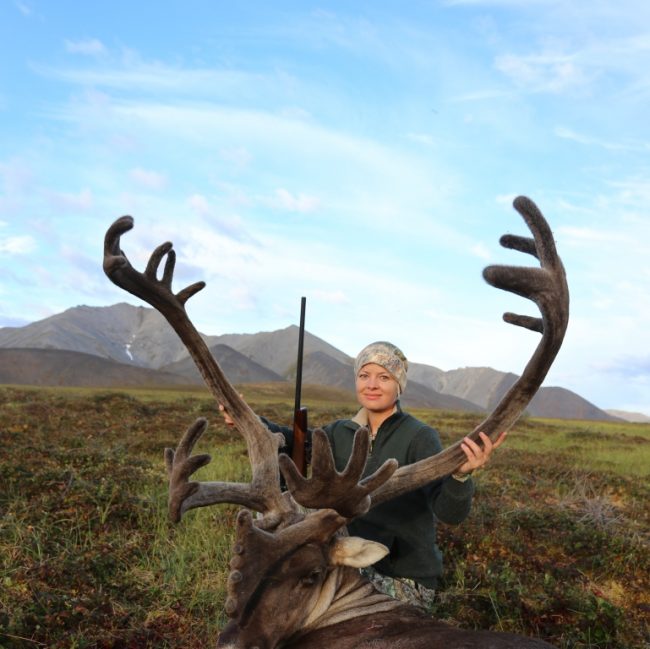 Caribou, hunting Caribou-Hunting Arguments