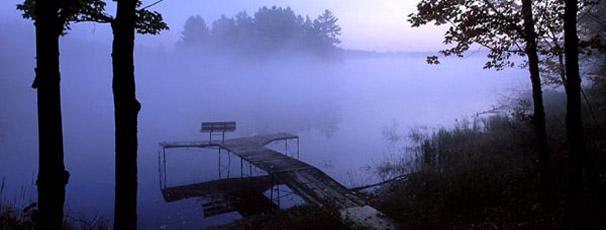 Dragonfly-Pond-Treehaven-bow