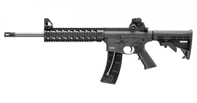 M&P Rifle - generic pic from Google 