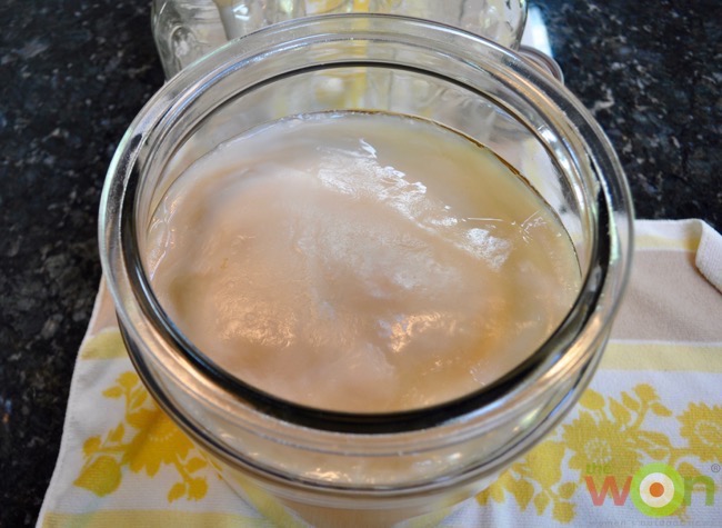 kombucha-tea-top-2quart