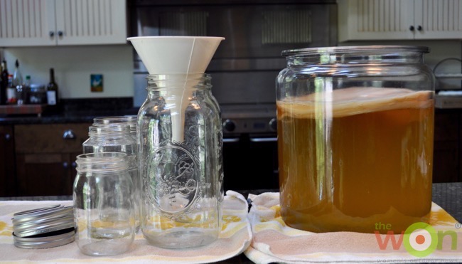 kombucha-tea-setup-cerino