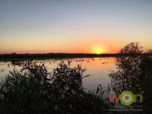 sunrise rice field LA