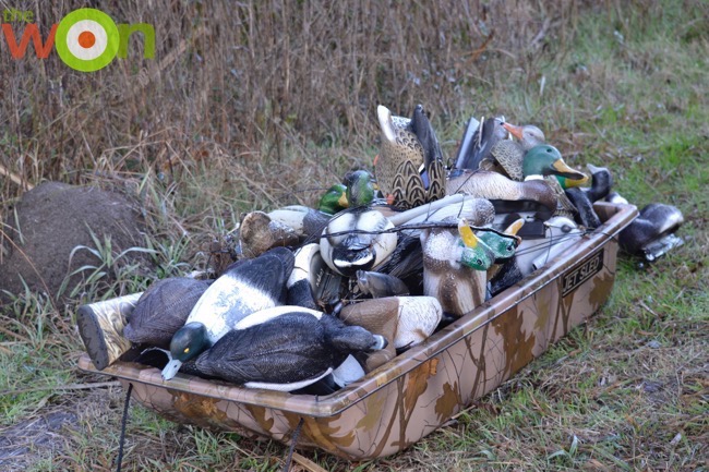 hollis_duckprep_decoys