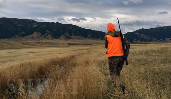 hunting-elk-in-montana-jessica