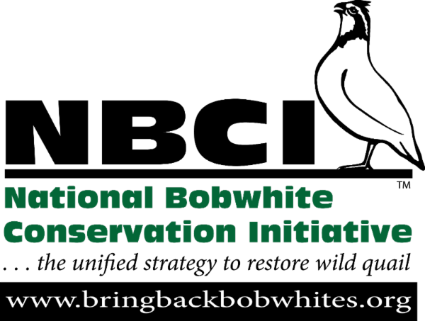 nbci-national-bobwhite-conservation-initiative-bobwhites