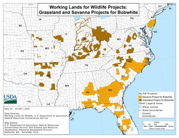 bobwhite-map-bobwhites