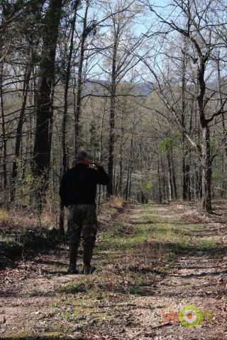 guide-arkansas