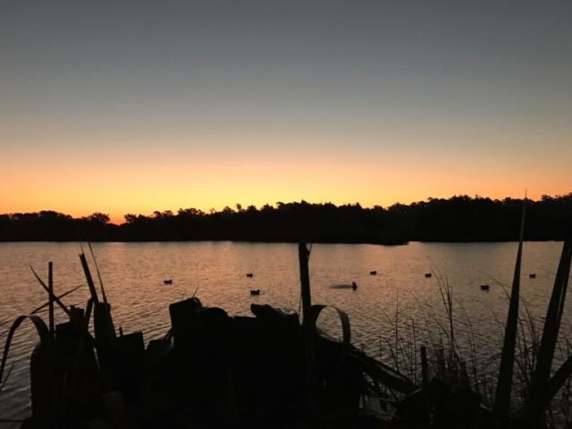 hollis-duck-hunt-sunrise-Duck Season