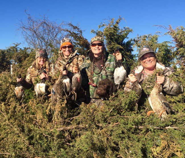 Judy-Rhodes-Ducks-Canvasback