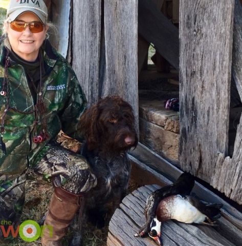 duck-hunting-rhodes-Wood Duck