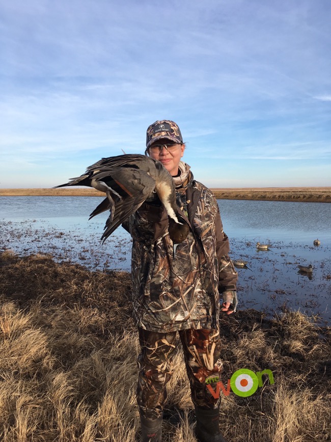 Barbara Baird pintail