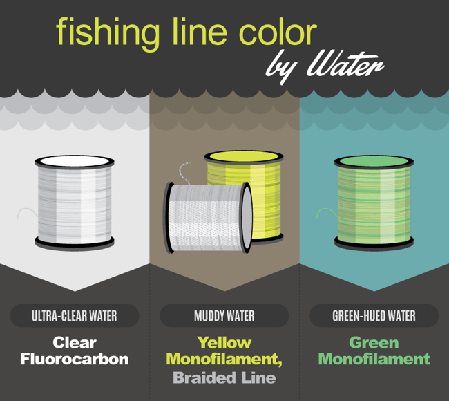 Do Fish See Line? Decoding Research and Manufacturer Claims