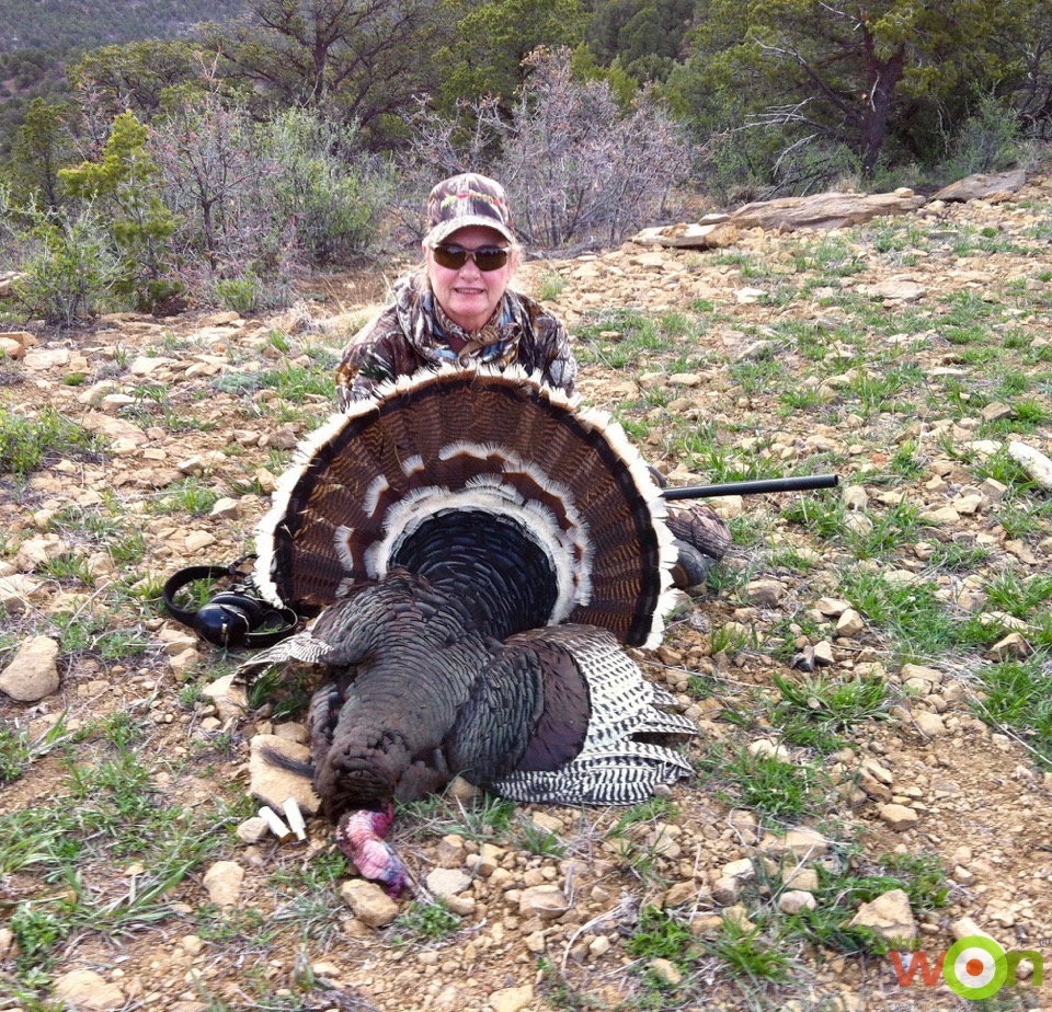 Merriam’s Wild Turkey