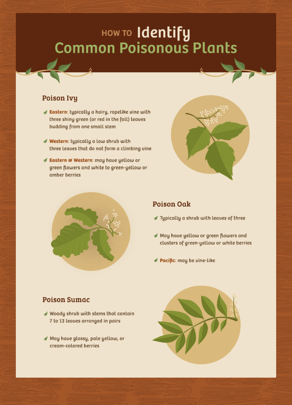 Poisonous Plants