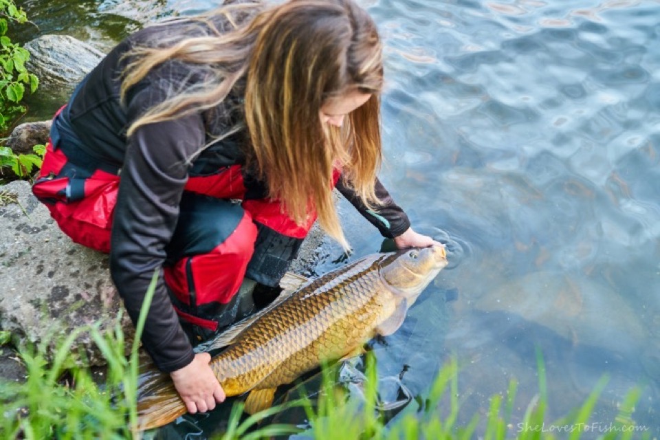 Camping fishing 