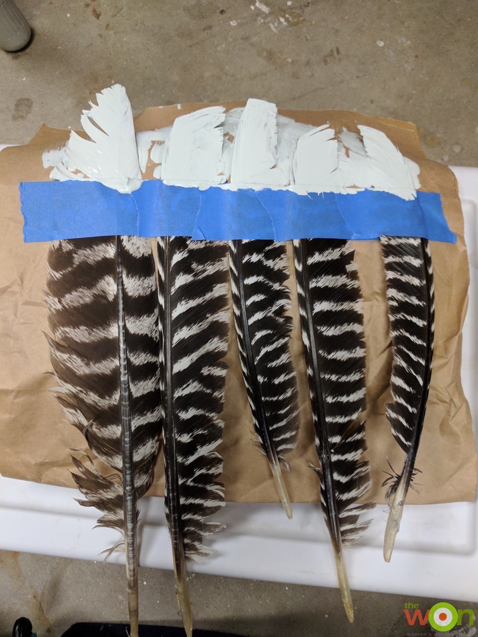 DIY Project Wild Turkey Feather Art diy-project-wild-turkey-feather-art