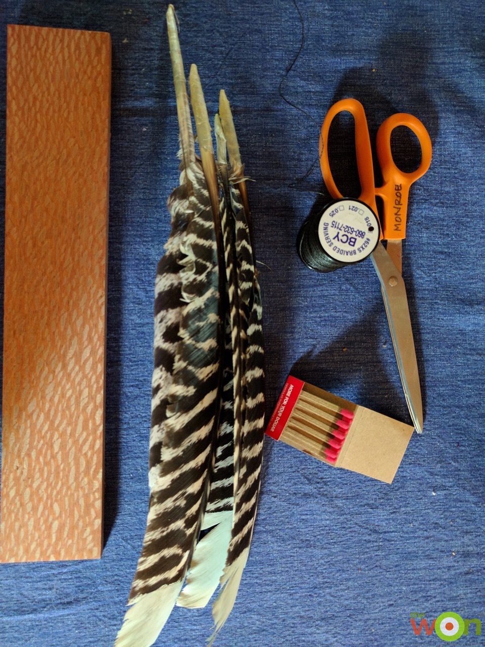 diy-project-wild-turkey-feather-art