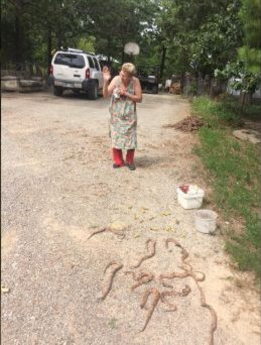 woman shoots copperheads