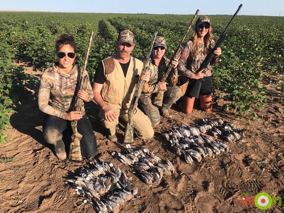 Dove-Hunt-Remington doves