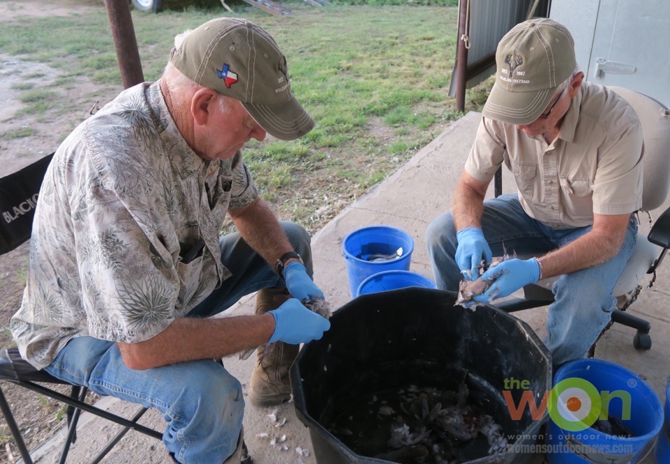 guides cleaning birds