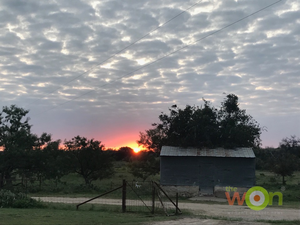 Wildlife Systems Texas San Angelo sunrise