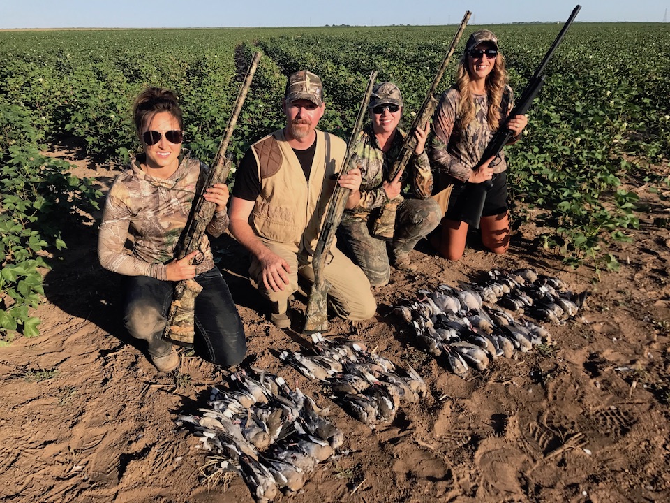 dove hunt remington style