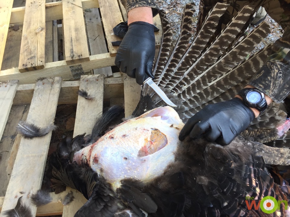 Dressing-Turkey-How-To-Gun-Girl-October Wild Turkey