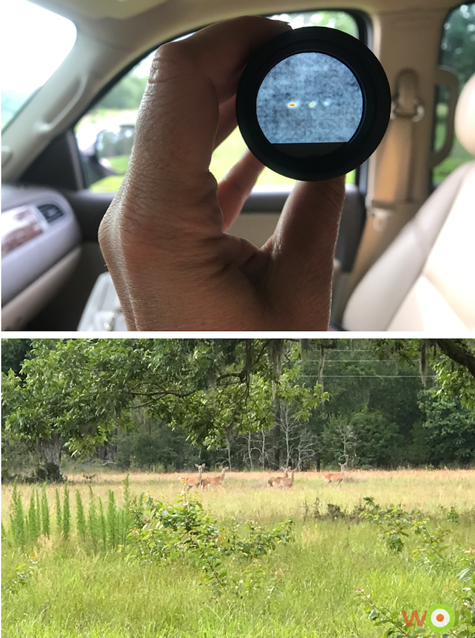 Lumpkin_BloodTrailArticle_DeerFamily LTO-Tracker