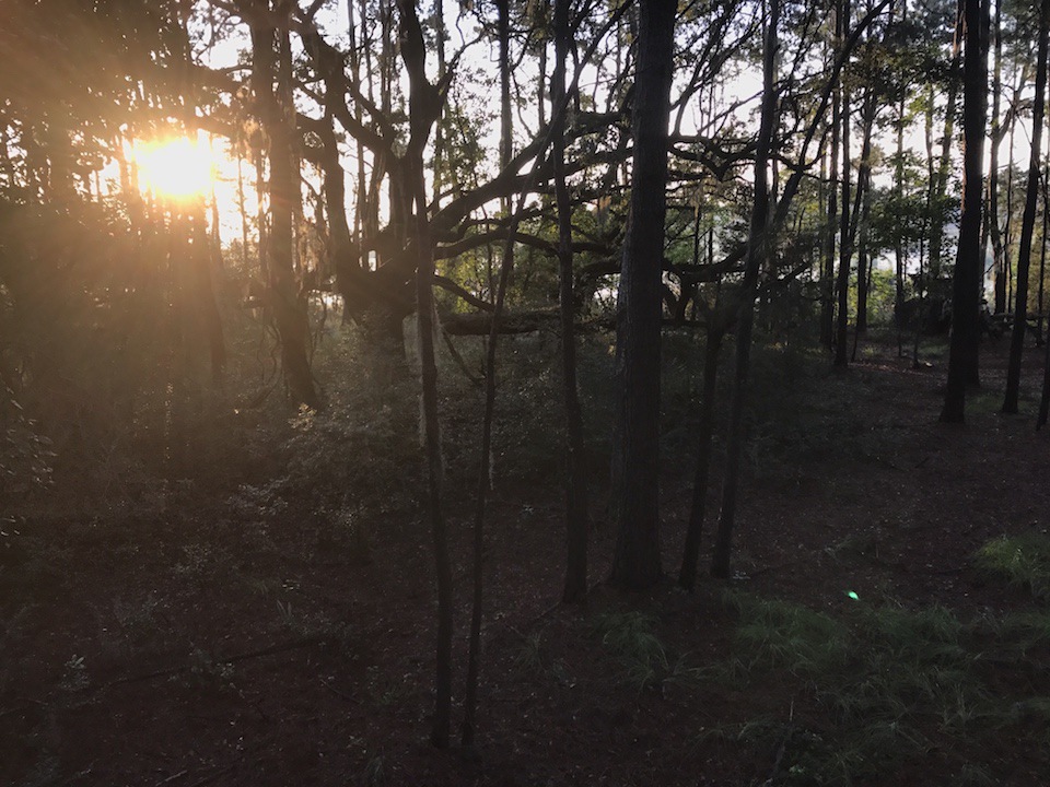 Lumpkin_BloodTrailArticle_SunriseWoods