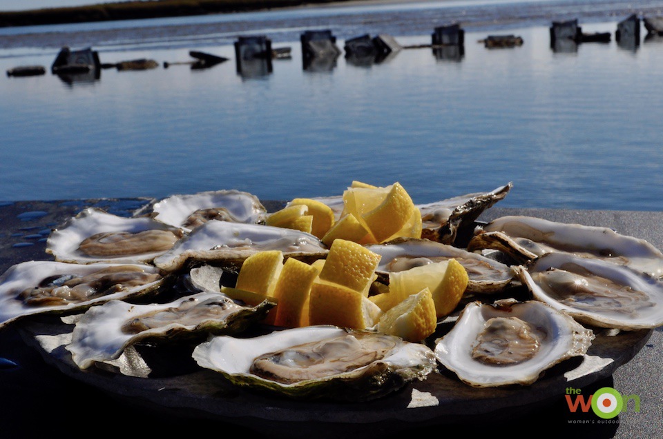 Oysters-Maine-Cerino