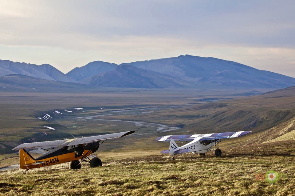 Emily Thoft Matt and I's planes out looking at the Porcupine Caribou herd in June