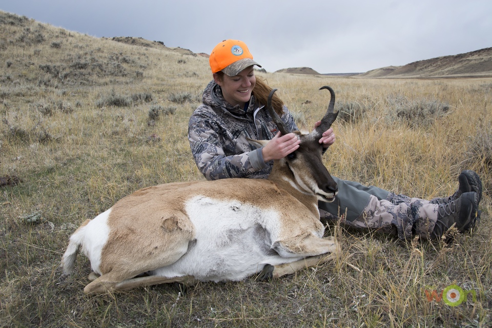 Admiring my beautiful buck pronghorn