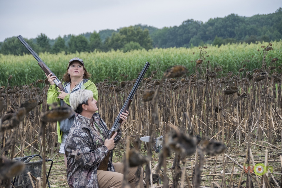 Cerino-Green-Dove-Hunting