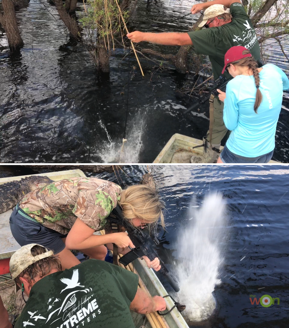 HollisLumpkin_TXPhoto_Gator Shots Texas